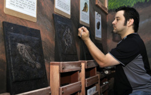 Installing the Fossil Rubbings