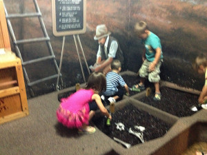 Kids on a Fossil Quest!