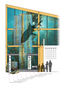 The Kelp Wall Elevation